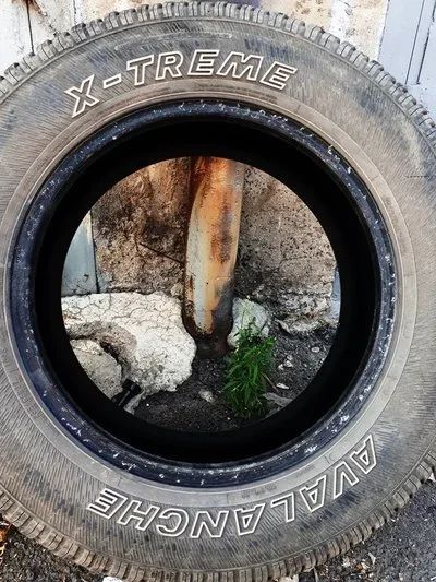 Лот: 12156177. Фото: 1. Hercules Avalanche X-Treme SUV... Шины