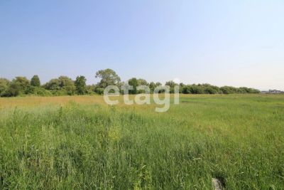 Лот: 25297853. Фото: 1. участок , коттеджный посёлок Есаулово... Земельные участки