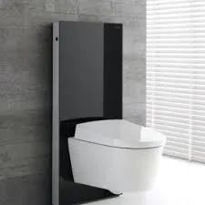 Лот: 25855348. Фото: 1. Наружный модуль инсталляции унитаза. Унитазы, биде