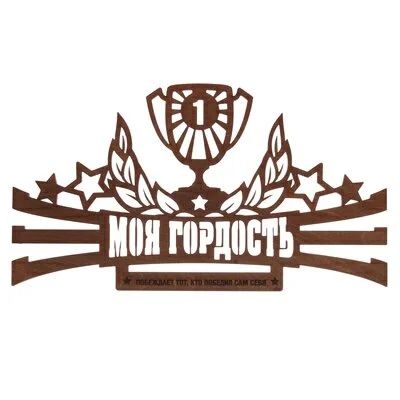 Лот: 11618538. Фото: 1. Медальница "моя гордость ". Другое (спортивные товары)