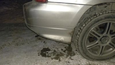 Лот: 8657822. Фото: 1. Клыки задние на Forester SG-5. Кузов