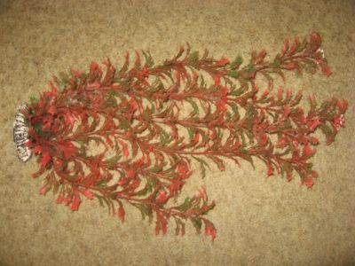 Лот: 13335059. Фото: 1. водоросли искусственные. Водные растения