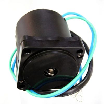 Лот: 21366158. Фото: 1. Мотор гидроподъема SUZUKI, YAMAHA... Запчасти для лодок, катеров, лодочных моторов