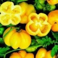 Лот: 10892956. Фото: 1. томат Еллоу стаффер (Yellow Staffer... Овощи