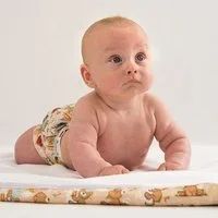 Лот: 11741012. Фото: 1. Впитывающая пеленка GlorYes 120... Детская гигиена