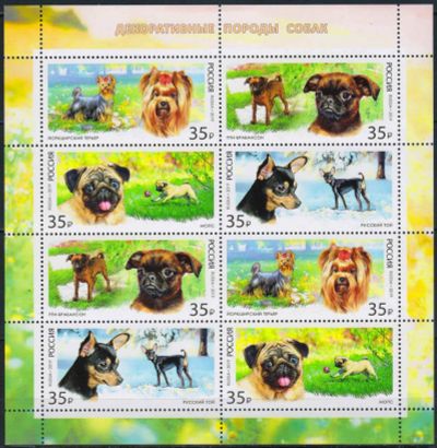 Лот: 24997279. Фото: 1. 2019. Декоративные породы собак... Марки