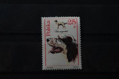 Лот: 3932713. Фото: 1. марка 60 Польша 1989г фауна собаки. Марки