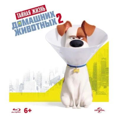 Лот: 24541027. Фото: 1. BLU-RAY-видеодиск ND Play Тайная... CD, DVD, BluRay