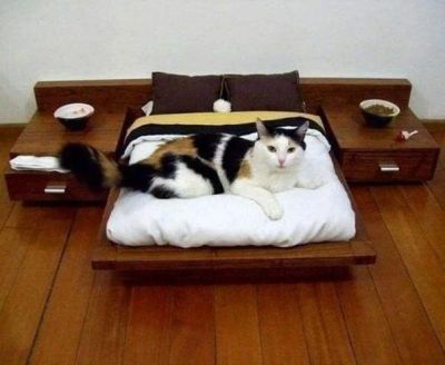 Лот: 3933932. Фото: 1. Котоспальня)) (сделаем ВСЕ из... Домики, переноски, клетки, когтеточки