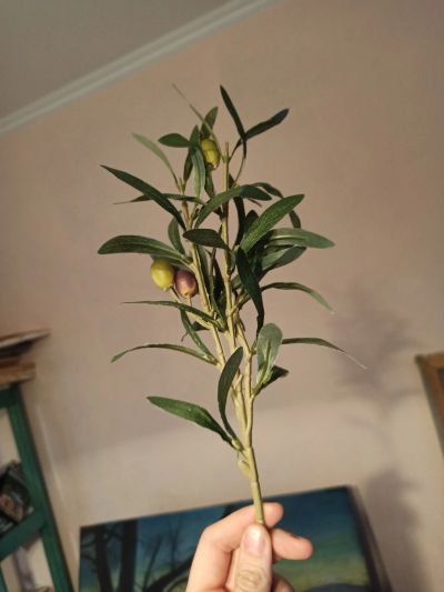 Лот: 19663423. Фото: 1. Оливковая ветвь искусственная. Искусственные и сувенирные цветы