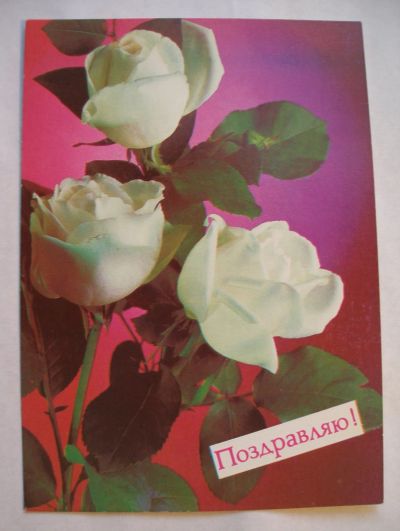 Лот: 11854693. Фото: 1. Советская открытка СССР Поздравляю... Открытки, конверты