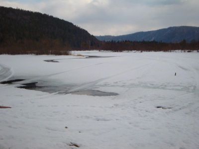 Лот: 6031806. Фото: 1. сдам квартиру в аренду. Квартиры, студии