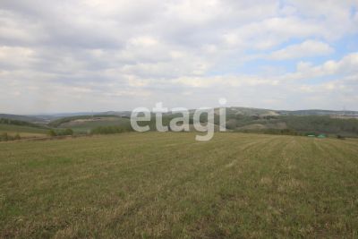 Лот: 25296412. Фото: 1. участок , ДНТ Мальта ДНТ Мальта... Земельные участки