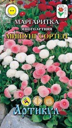 Лот: 11025444. Фото: 1. Маргаритка мног.Мишунг сортен... Садовые цветы
