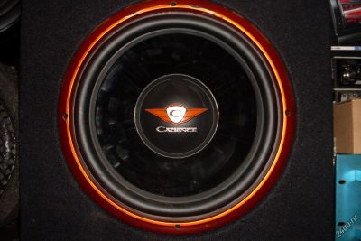 Лот: 6665242. Фото: 1. Сабвуфер Cadence 500w. Акустика автомобильная