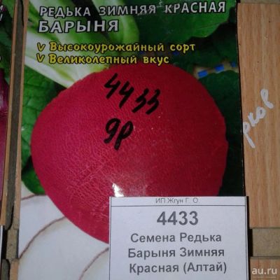 Лот: 9122541. Фото: 1. Семена / овощи / Редька / Барыня... Овощи