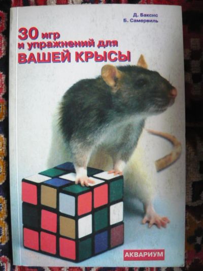 Лот: 7247119. Фото: 1. Пособие - 30 игр для вашей крысы-. Домашние животные