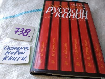 Лот: 18219116. Фото: 1. оз...(16..016) Сухих И.Н. Русский... Другое (общественные и гуманитарные науки)