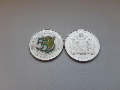 Лот: 19876762. Фото: 1. Гайана 100 долларов 2021 г " 55... Америка