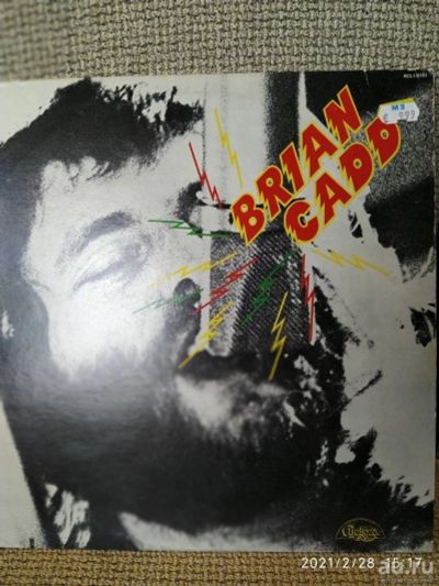 Лот: 17290973. Фото: 1. Винил: Brian Cadd -73 (Made in... Аудиозаписи