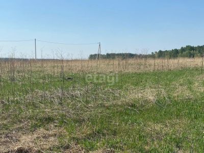 Лот: 25297000. Фото: 1. участок , посёлок Берёзовая Роща... Земельные участки