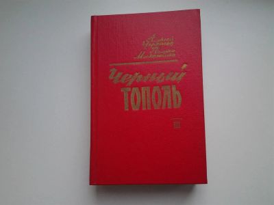 Лот: 3938931. Фото: 1. Черкасов, Москвитина Черный тополь. Художественная