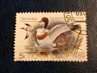 Лот: 24933088. Фото: 1. - Марки для Вашей коллекции. лот... Марки