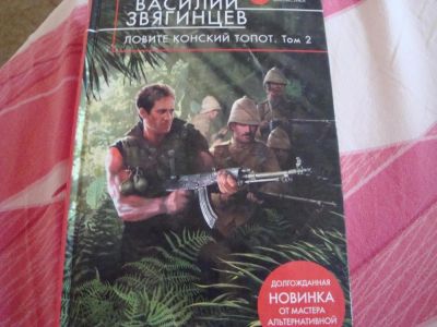 Лот: 8295549. Фото: 1. звягинцев 2 книги. Художественная