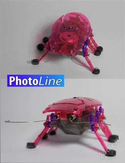 Лот: 1462413. Фото: 1. Жук-микроробот Hexbug Buzz (I... Сувенирные мелочи