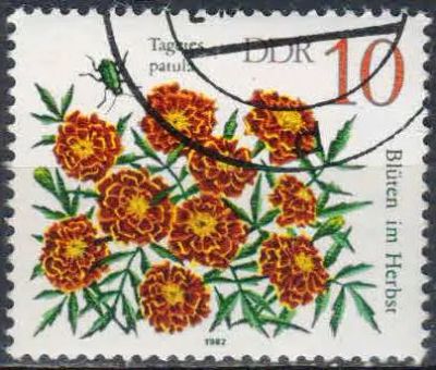 Лот: 25124490. Фото: 1. 1982. ГДР. Цветы. н.с. № 2480. Марки