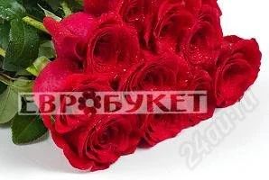 Лот: 2967272. Фото: 1. Розы красные свежие красивые... Другое (цветы, букеты)