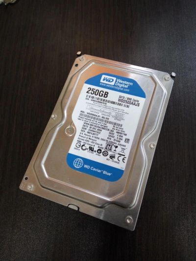 Лот: 9443212. Фото: 1. Western Digital WD Blue WD2500AAJS... Жёсткие диски (HDD)