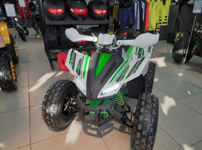 Лот: 25362524. Фото: 1. Квадроцикл MOTOLAND 125 COYOTE... Снегоходы, квадроциклы