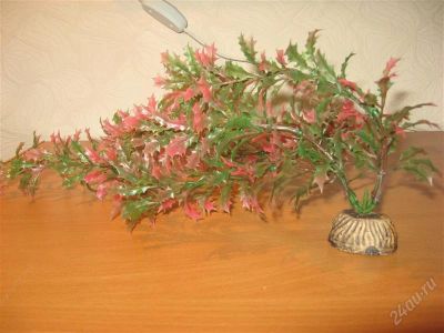 Лот: 2839590. Фото: 1. большое пластиковое растение. Грунты, украшения, наполнения