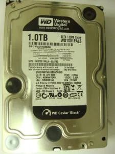 Лот: 3102695. Фото: 1. Диск жесткий 1000Гб WD Caviar... Жёсткие диски (HDD)