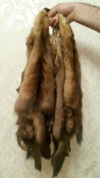 Лот: 5676736. Фото: 1. соболь. Ткани, нитки, пряжа