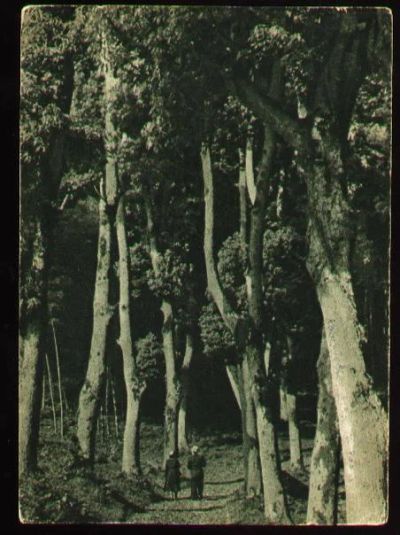 Лот: 4742756. Фото: 1. художественная открытка 1950-х... Открытки, конверты