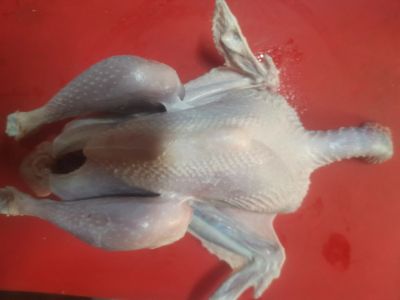 Лот: 17392975. Фото: 1. Мясо молодых индюков. Мясо, птица, яйцо