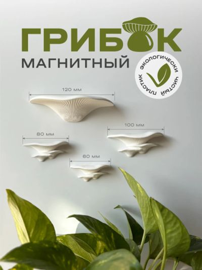 Лот: 25199524. Фото: 1. Декоративные грибы на магнитах. Другое (предметы интерьера)