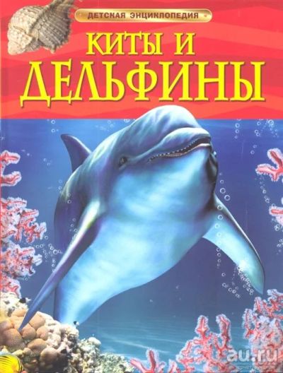 Лот: 18089639. Фото: 1. "Киты и дельфины. Детская энциклопедия... Познавательная литература