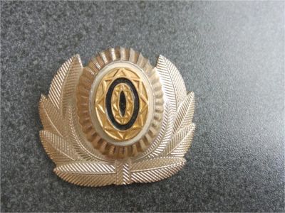 Лот: 11224480. Фото: 1. Кокарда. Нашивки, шевроны, погоны