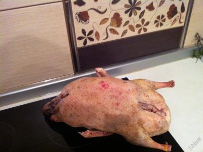 Лот: 6667926. Фото: 1. утка. Мясо, птица, яйцо