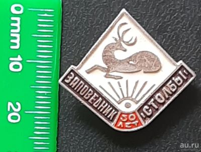 Лот: 16410723. Фото: 1. значок "Заповедник Столбы. 30... Сувенирные