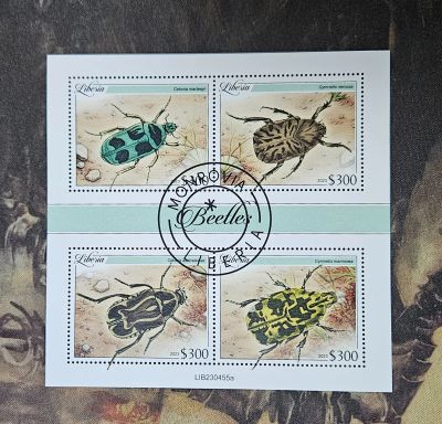 Лот: 25735914. Фото: 1. Марки: Либерия. 2023. Жуки. Насекомые... Марки