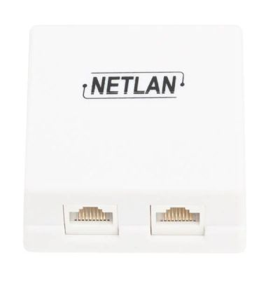 Лот: 15772049. Фото: 1. Розетка RJ-45, 5е, 2 порта, неэкранированная... Другое (сетевые устройства)