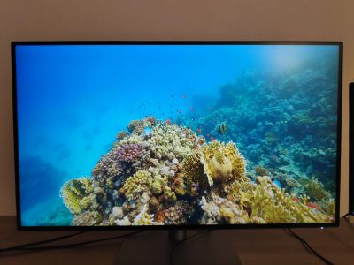 Лот: 16834132. Фото: 1. Монитор BenQ PD3220U. ЖК-мониторы