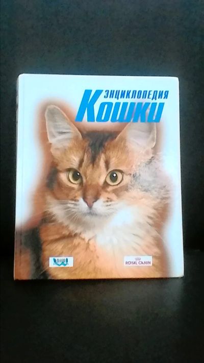 Лот: 6611598. Фото: 1. Энциклопедия Кошки. Миски, лотки, наполнители