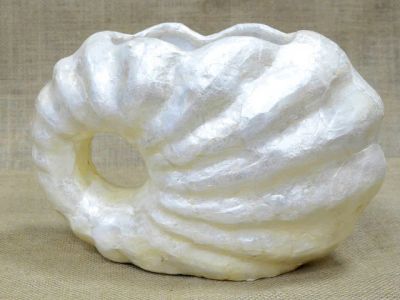 Лот: 3942982. Фото: 1. Ваза Ракушка. Вазы