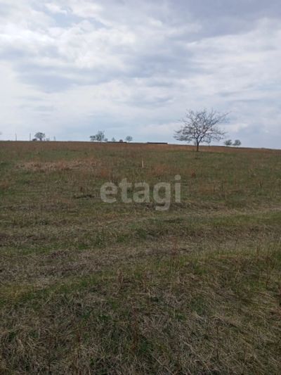 Лот: 25296761. Фото: 1. участок , село Зыково село Зыково... Земельные участки