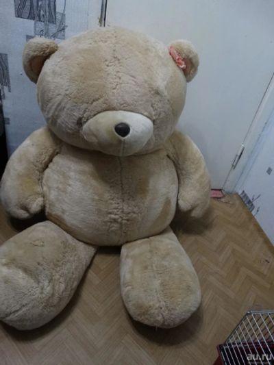 Лот: 8960533. Фото: 1. Огромный медведь. Мягкие